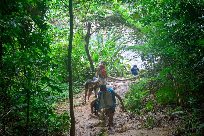 Small-Group El Yunque Rainforest Vivid Day Tour with Transport - The Saturday route needs extra care