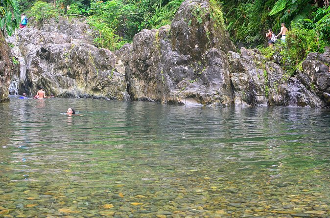 Small-Group El Yunque Rainforest Vivid Day Tour with Transport - Is $75 a fair price?