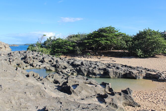 Small-Group North Coast Beach Hopping Adventure in Puerto Rico - Why this north coast trip is worth considering