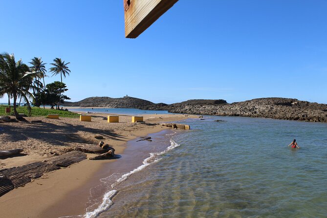 Small-Group North Coast Beach Hopping Adventure in Puerto Rico - The guide and the advantage of a 12-person limit