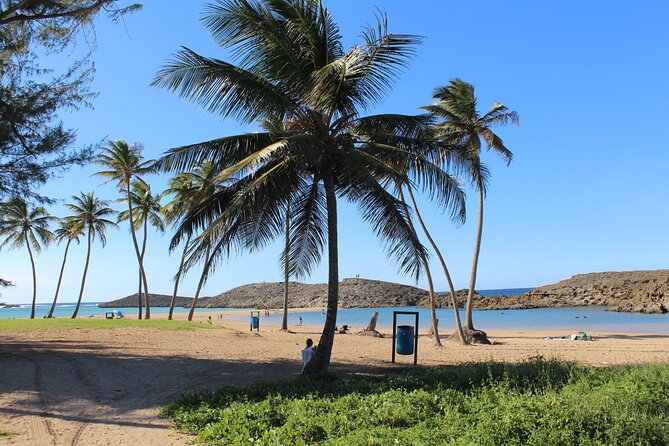 Small-Group North Coast Beach Hopping Adventure in Puerto Rico - Timing, pickup, and what to prepare