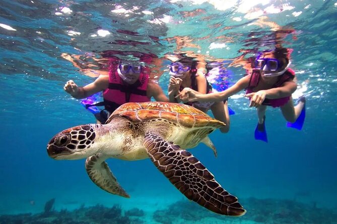 Snorkel, Swim & Snap-w/ Video - Escambron Beach gives you an easy San Juan start
