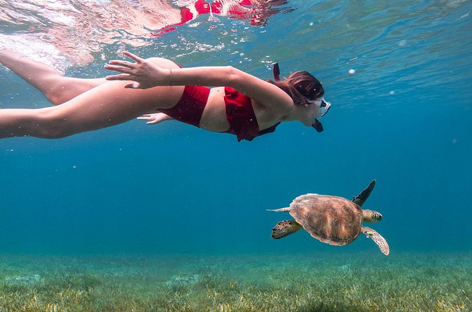 Snorkel, Swim & Snap-w/ Video - How the cancellation rules affect your plans