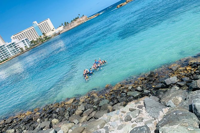 Snorkeling Guided Tour Experience in Condado Lagoon - One guided hour among mangroves, fish, and marsh