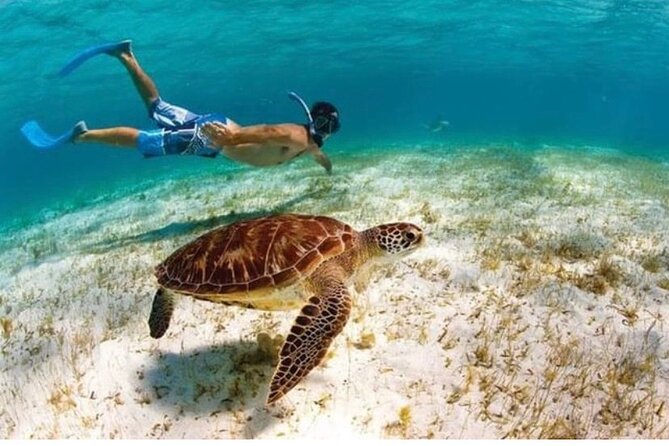 Snorkeling in Paradise - Videos Included - The first 30 minutes: safety, gear, and confidence