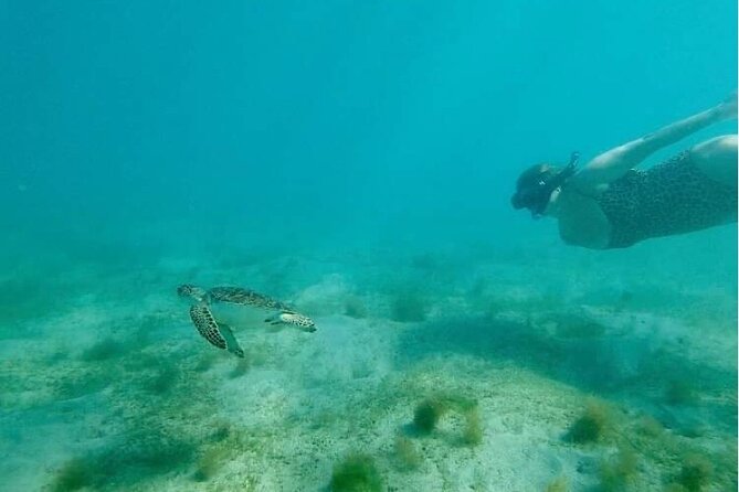 Snorkeling in Paradise - Videos Included - Walking into the water and finding your rhythm