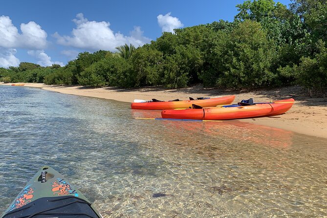 Snorkeling & Kayak Eco-Adventure in Puerto Rico - Paddling through the protected reserve
