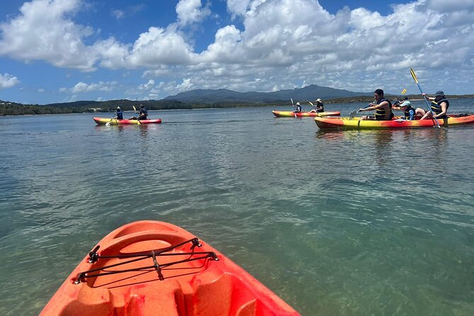Snorkeling & Kayak Eco-Adventure in Puerto Rico - Who will get the most from this adventure