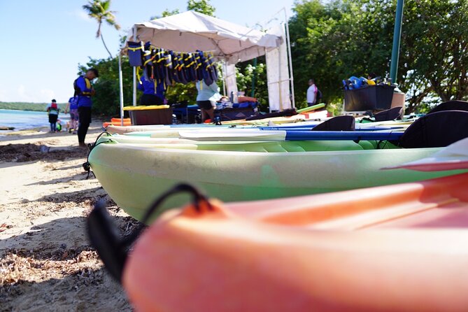 Snorkeling & Kayak Eco-Adventure in Puerto Rico - Snacks, supplies, and what to bring