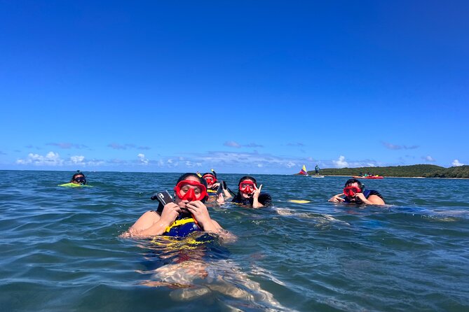 Snorkeling & Kayak Eco-Adventure in Puerto Rico - Weather cancellations and the need for flexibility