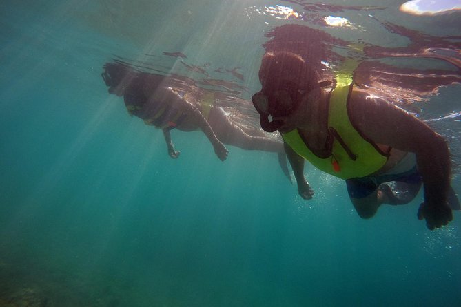 Snorkeling Lesson & Interactive Experience for Kids and Adults - Snacks, water, and the optional camera