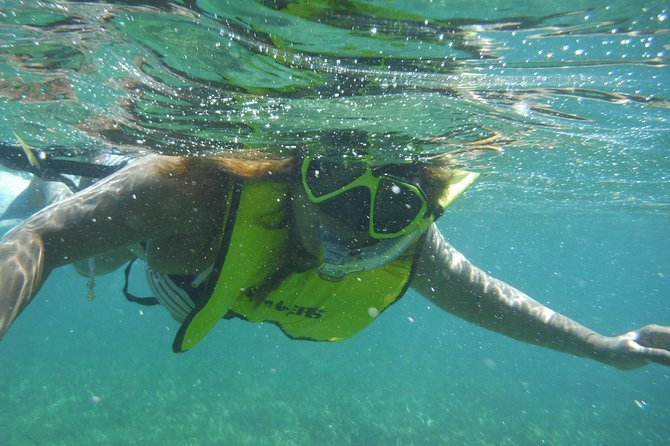 Snorkeling Lesson & Interactive Experience for Kids and Adults - Timing, meeting point, and practical planning