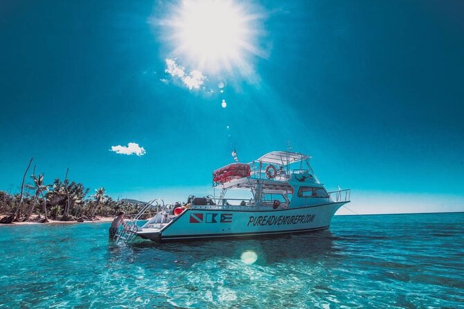 Snorkeling Tour to Vieques Island only 30 minutes away! - Snorkeling Over Reefs and Sand
