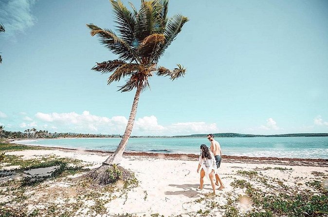 Snorkeling Tour to Vieques Island only 30 minutes away! - Snacks, Drinks, and the Value of $134.92
