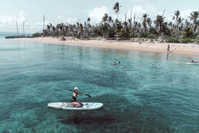 Snorkeling Tour to Vieques Island only 30 minutes away! - Who Will Enjoy This Four-Hour Outing