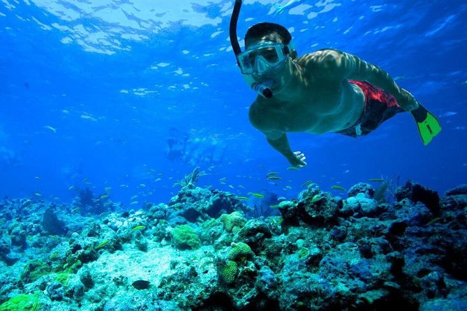 Snorkeling Tour to Vieques Island only 30 minutes away! - Timing, Weather, and the Practical Details