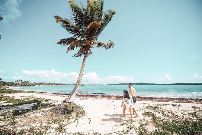 Snorkeling Tour to Vieques Island only 30 minutes away! - Should You Book the Vieques Snorkeling Tour?