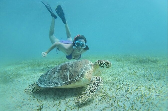 Snorkeling Tour to Vieques Island only 30 minutes away! - Beach Time, Swimming, and Paddleboards