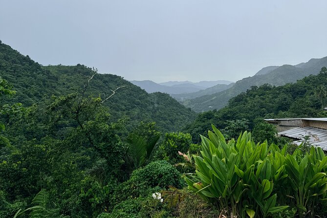 Sueños de Cafe - A Coffee Lovers Dream - A mountain drive before the first cup