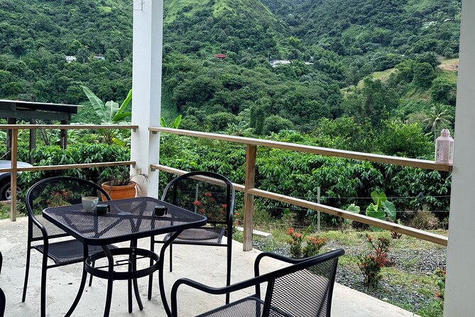 Sueños de Cafe - A Coffee Lovers Dream - Hacienda Prosperidad is the heart of the day
