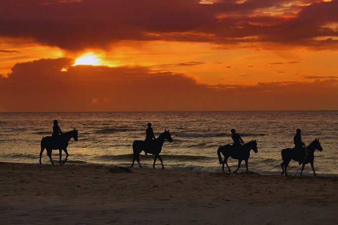 Sunset Horseback Ride by the Beach in Aguadilla, Puerto Rico - Key points before you saddle up