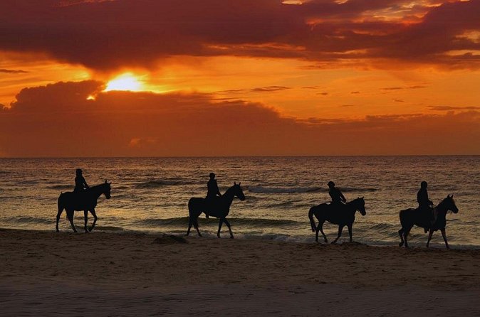 Sunset Horseback Ride by the Beach in Aguadilla, Puerto Rico - Horses, equipment, and beginner comfort