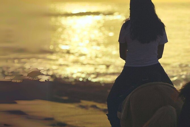 Sunset Horseback Ride by the Beach in Aguadilla, Puerto Rico - Starting at Mirador Punta Borinquen