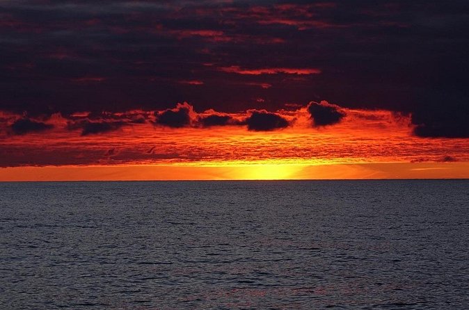 Sunset Snorkeling - Why the UV lights and filters matter