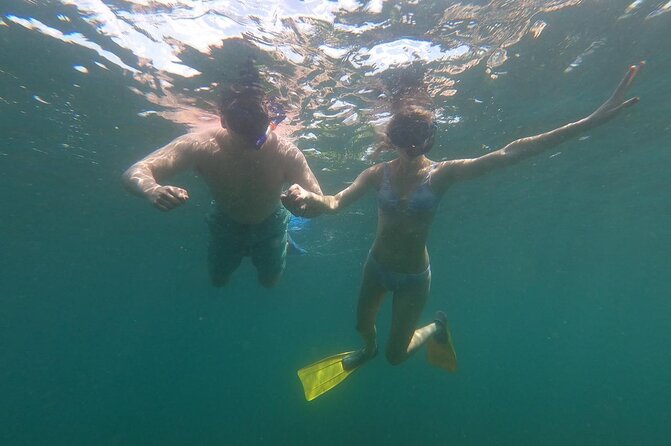 Sunset Snorkeling - Meeting at 6 p.m. in central Rincón