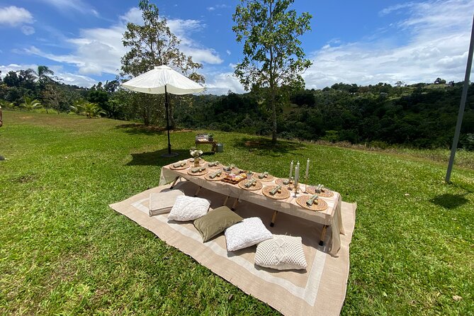 Tailor Made Luxury Picnic with Breathtaking Views - Rain plans and weather limits