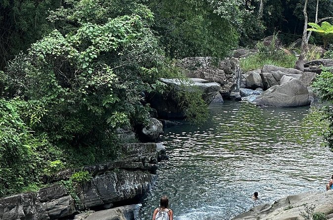 The Best Rainforest Experience in Puerto Rico - What $75 buys you