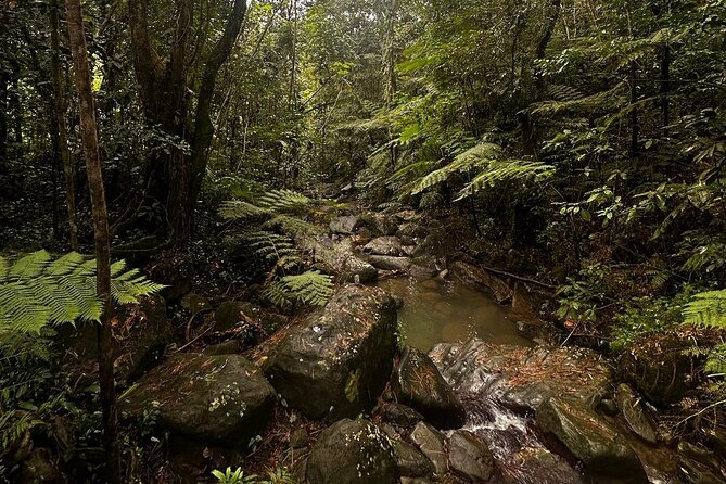 The Best Rainforest Experience in Puerto Rico - Las Paylas and the natural rock slides