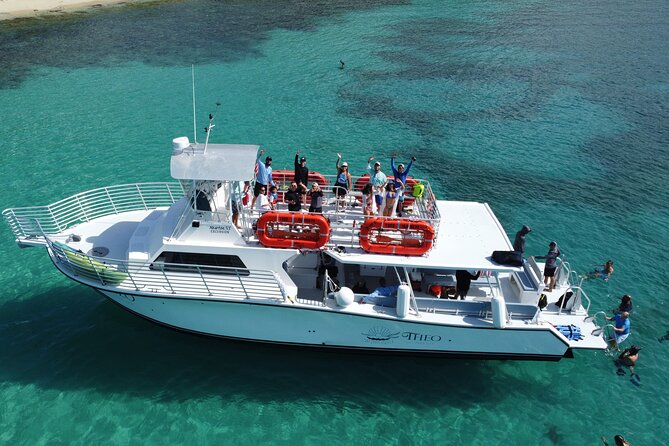 Theo Culebra Island Experience - Snorkeling with gear and personal help