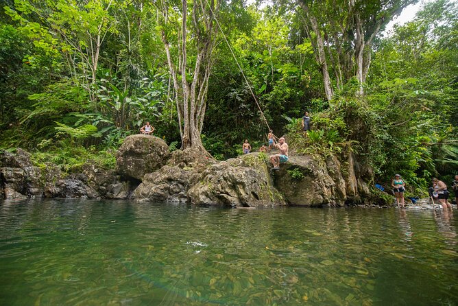 Top Rated El Yunque Rainforest & Waterslide – SmallGroup Tour - The first 25 minutes: muddy rainforest hiking