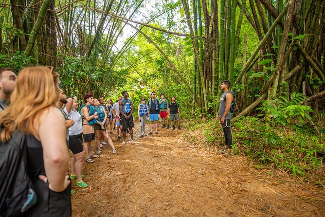 Top Rated El Yunque Rainforest & Waterslide – SmallGroup Tour - What the guide adds to the day