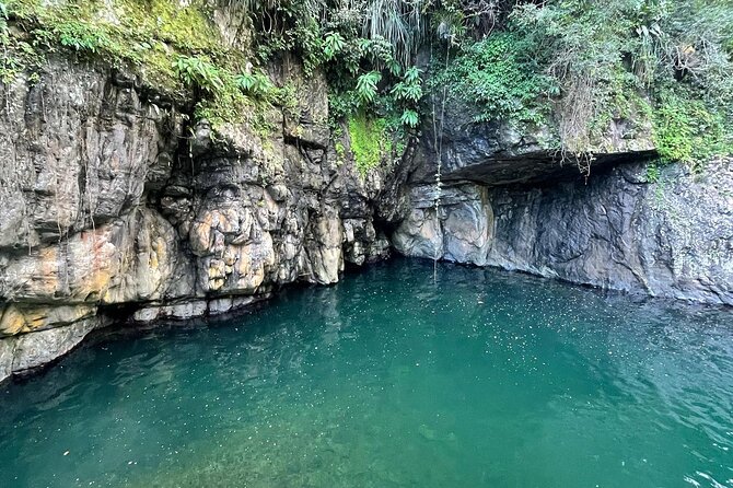 Toro Negro River Hike & Cliff Jumping Adventure; San Juan Pick Up - Leaving San Juan for Toro Negro State Forest