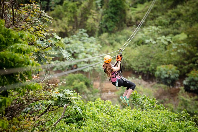 Toro Verde 7-Zipline Tour Plus the Beast with Pickup - The first zipline runs build your confidence