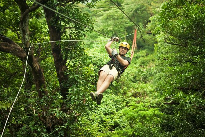 Toro Verde 7-Zipline Tour Plus the Beast with Pickup - Weather, timing, and booking details