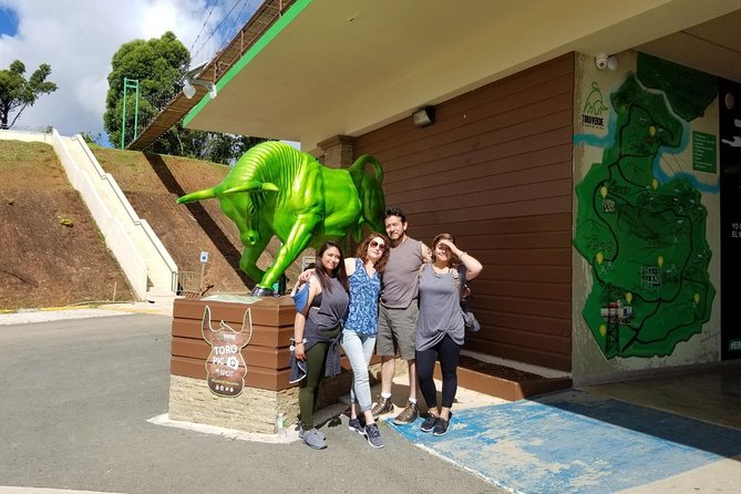 Toro Verde 7-Zipline Tour Plus the Monster with Transport - The Monster question needs a careful answer