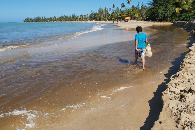 Transportation from San Juan to Ceiba ferry or airport - Continuing to Ceiba Airport
