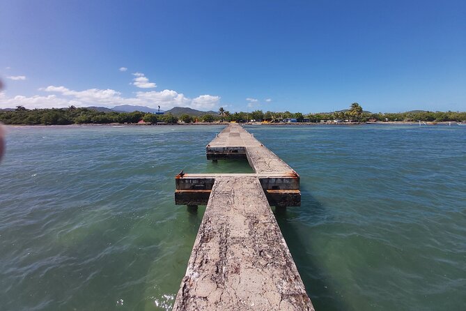 Transportation from San Juan to Ceiba ferry or airport - Luggage, children, and pets
