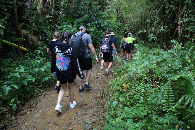 Trio Tour: El Yunque, Luquillo Beach, and Bio Bay Night Kayaking - Luquillo Beach gives you a useful break