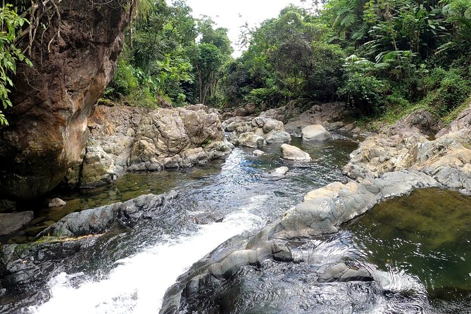 Trio Tour: El Yunque, Luquillo Beach, and Bio Bay Night Kayaking - Is $155 a fair price?