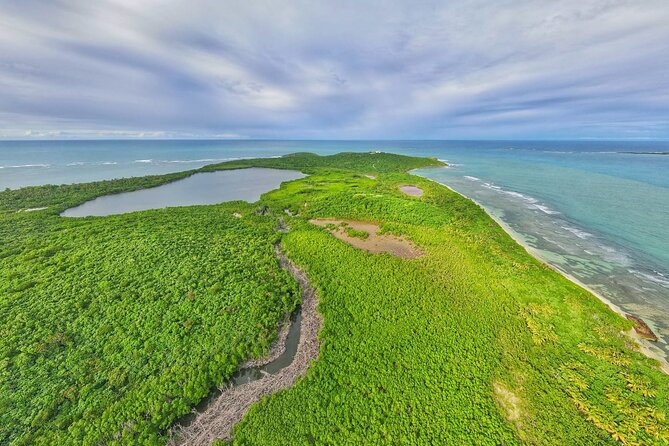 Trio Tour: El Yunque, Luquillo Beach, and Bio Bay Night Kayaking - Who should book this day?