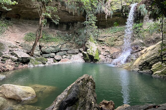 Tropical Rainforest Luxury Experiences - Why this makes a good full-day outing from Isla Verde