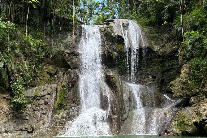 Tropical Rainforest Luxury Experiences - The ride from Isla Verde into the mountains