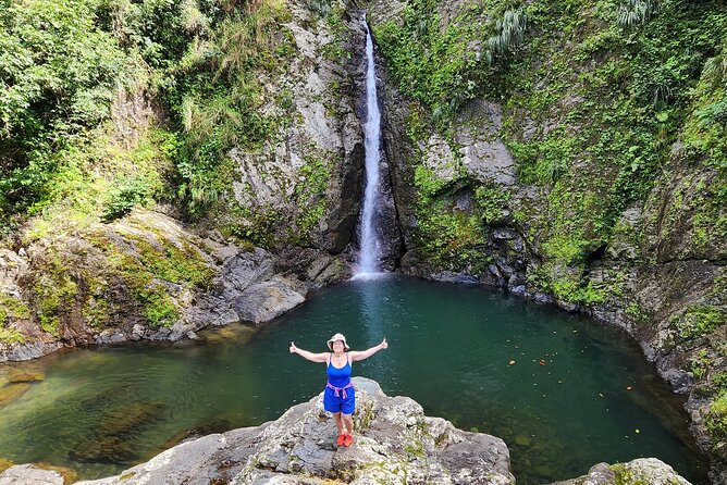 Tropical Rainforest Wonders Full Day Experience from San Juan - From San Juan to Toro Negro State Forest