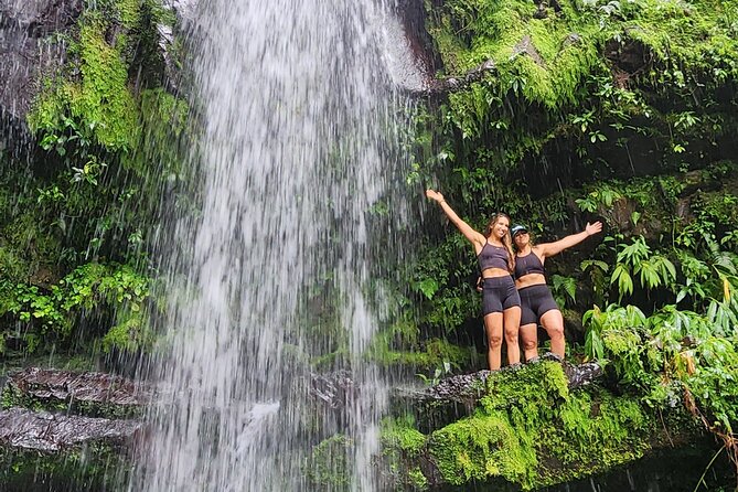 Tropical Rainforest Wonders Full Day Experience from San Juan - Toro Negro supplies the mountain views