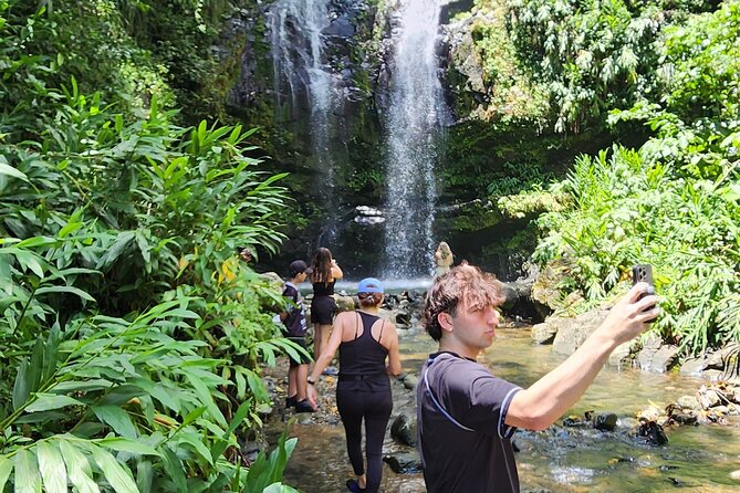 Tropical Rainforest Wonders Full Day Experience from San Juan - Who will enjoy this day most