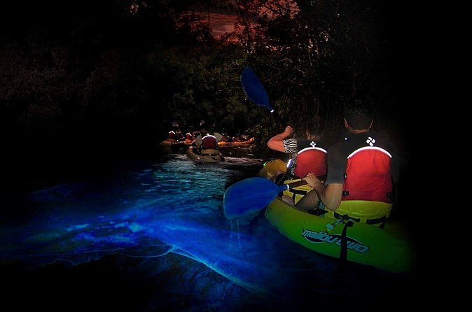 Two-in-One Day Trip: El Yunque and Bio Bay Tour with Transport - Paddling through the mangroves to Laguna Grande